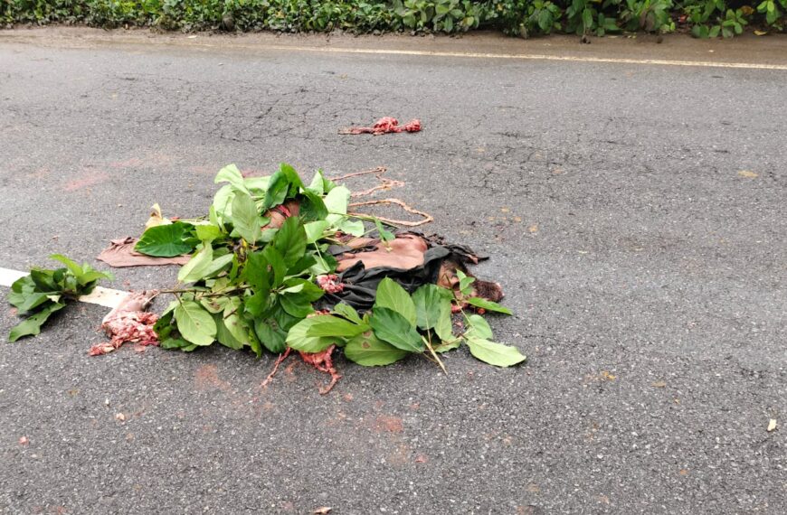 रात­भर सड़क पर पड़ा रहा शव, सुबह उजागर हुआ हादसा