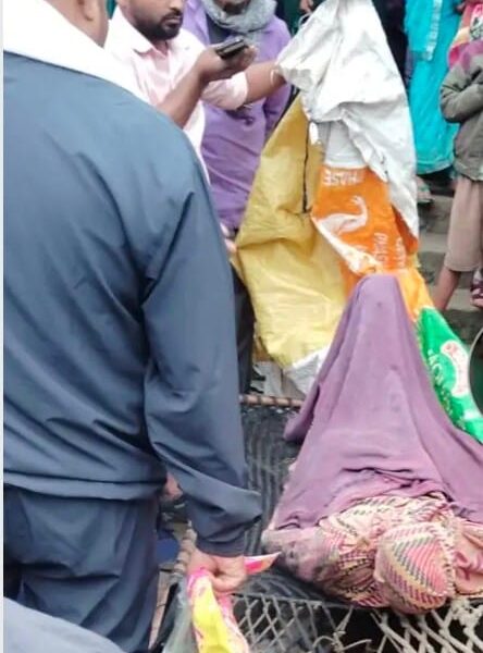 तरकुलवा में भैंस बचाने के प्रयास में महिला…