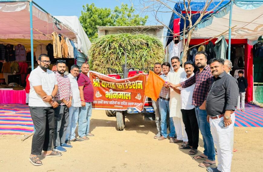 वाराह फाउंडेशन की सराहनीय पहल — भीनमाल में बेसहारा गोवंश के लिए की गई हरे चारे की व्यवस्था