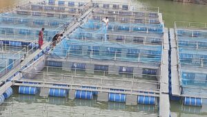 बंद पड़े खदान में केज कल्चर से आत्मनिर्भर&hellip;