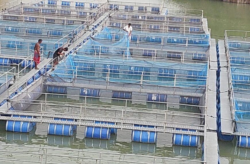 बंद पड़े खदान में केज कल्चर से आत्मनिर्भर…