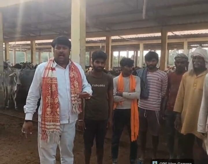 बड़ागांव की स्थाई गौशाला बनी आदर्श, व्यवस्थाओं की&hellip;