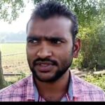 इटायल की गौशाला के जानवरों ने 12 वीघा गेहूँ की फसल बर्बाद की