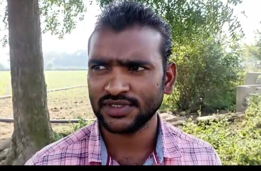 इटायल की गौशाला के जानवरों ने 12 वीघा&hellip;