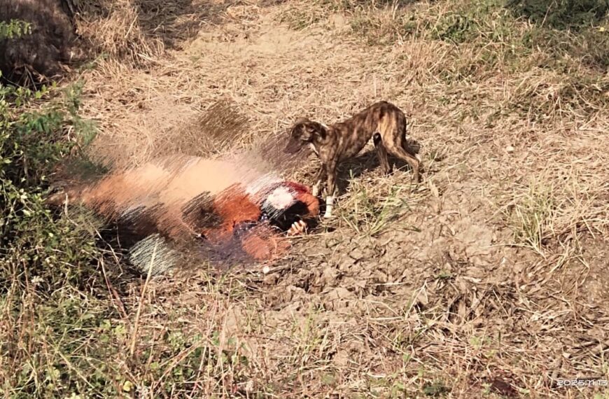 हमीरपुर में खेत में अज्ञात महिला का शव&hellip;