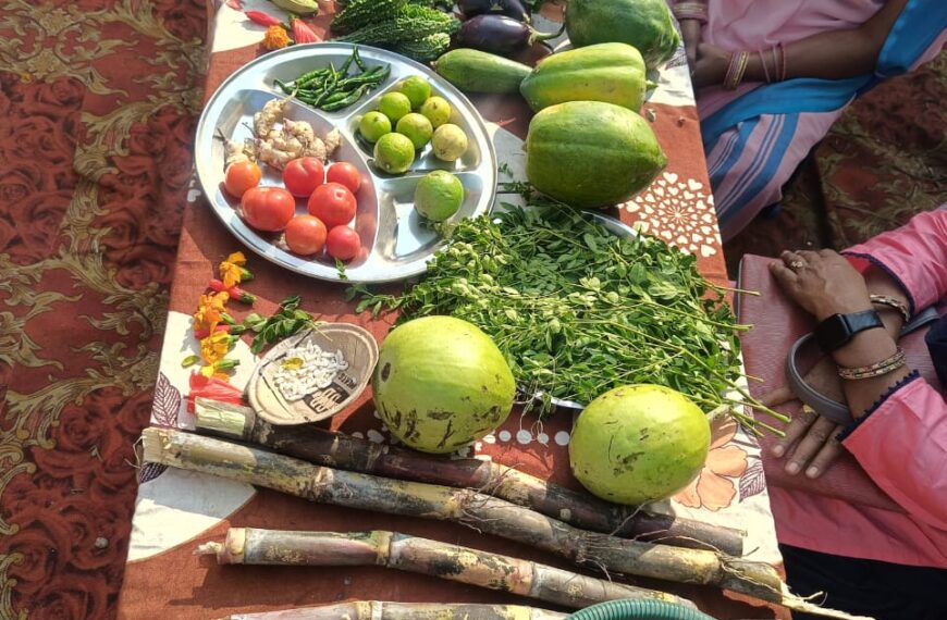 जनजातीय गौरव दिवस पर चिल्हारी में विकासखंड स्तरीय&hellip;